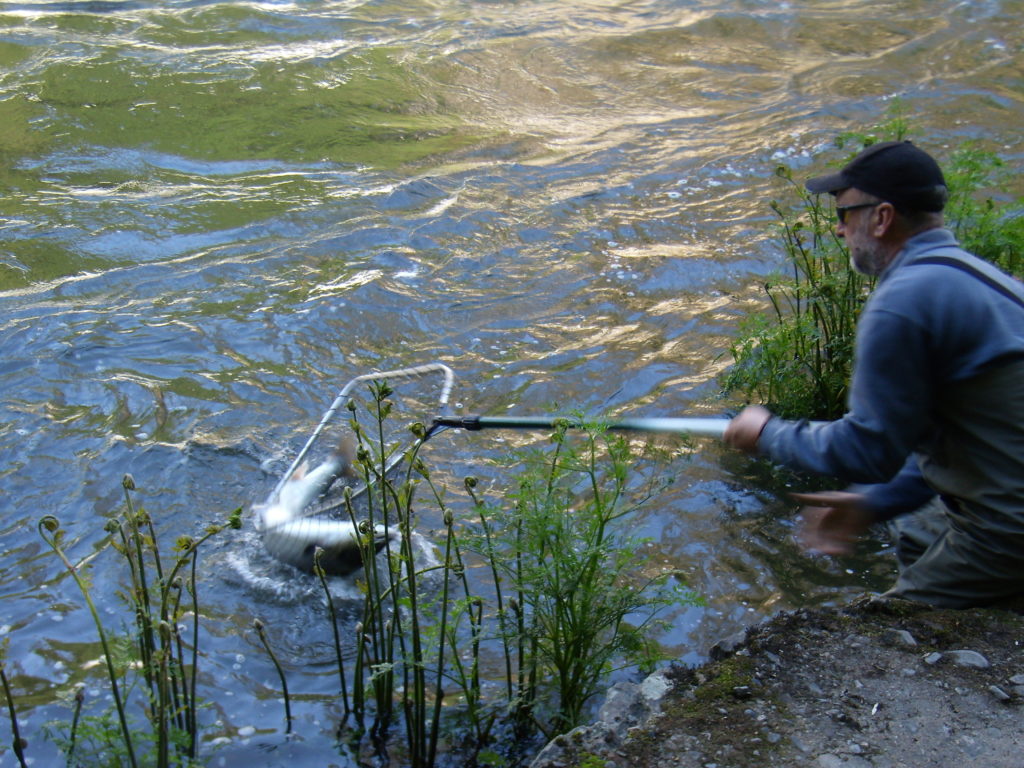 Pescando en A Pontenova